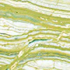 Onyx - Image 3